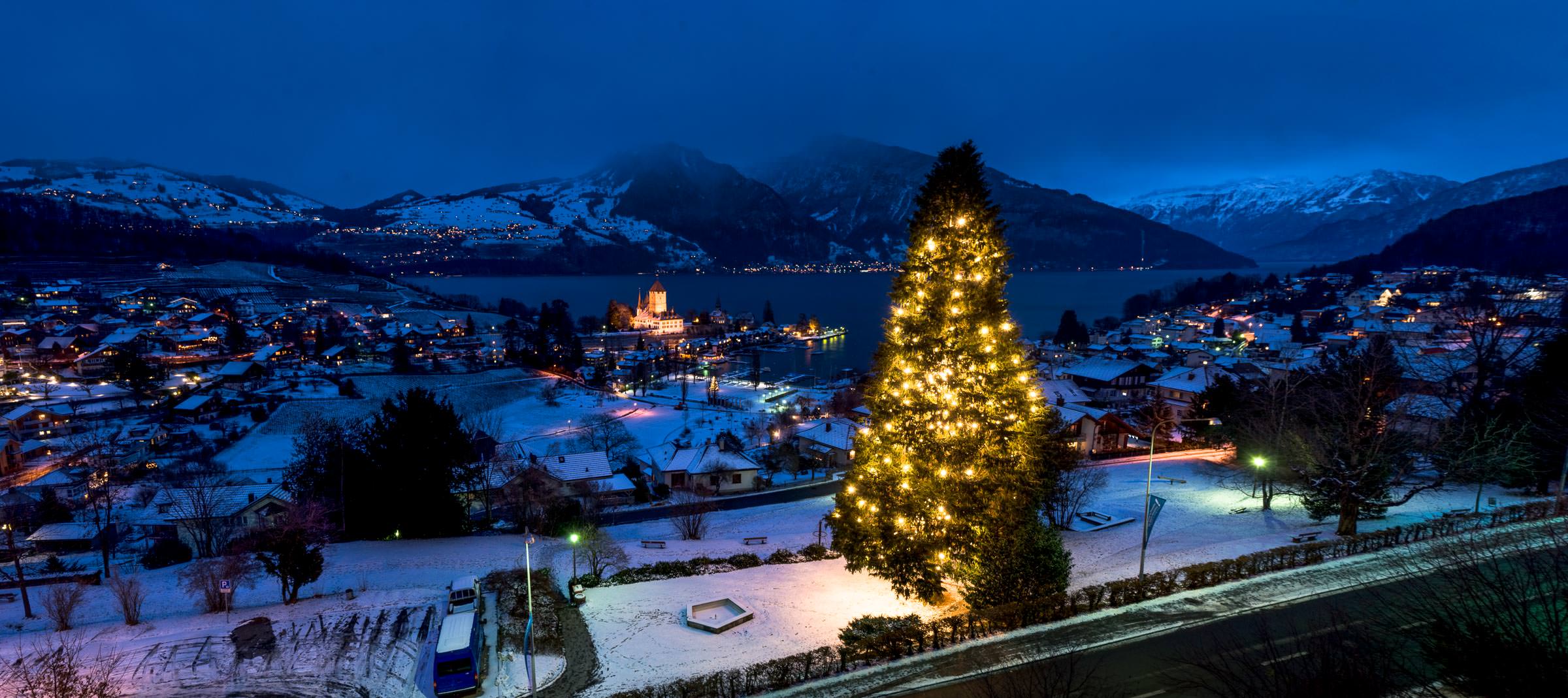 Large Christmas tree, Spiez, Switzerland