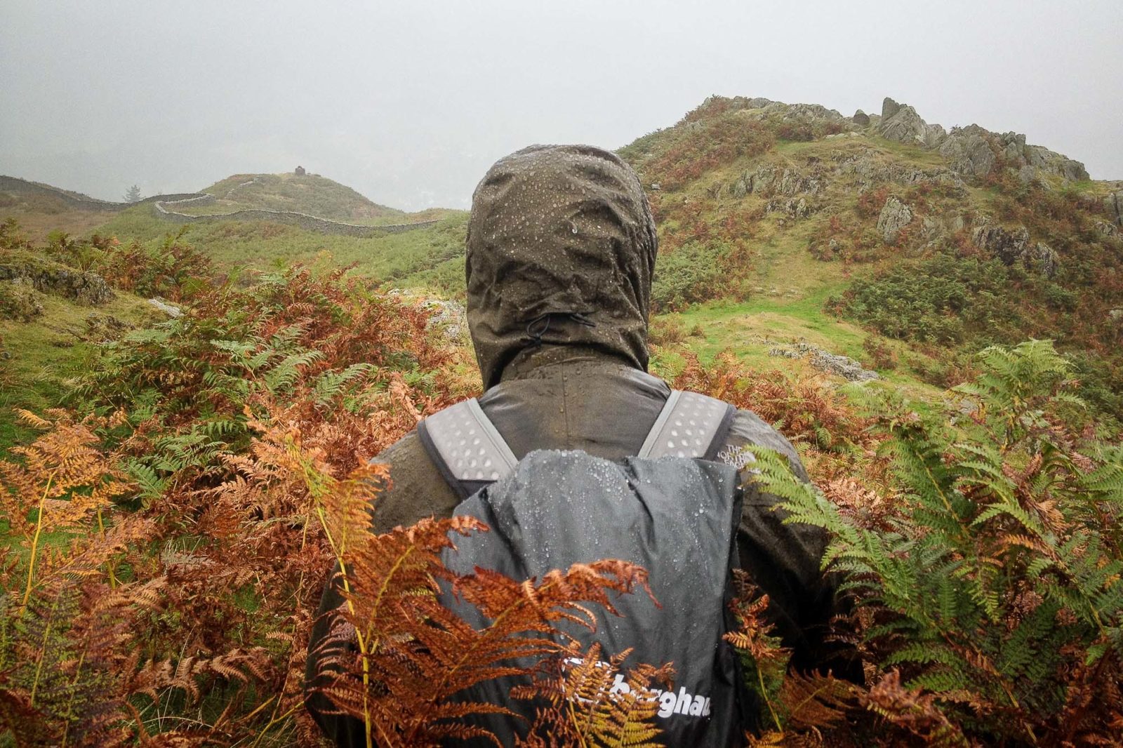 Photo of me in the rain and the ferns by Jo, on Loughrigg Fell