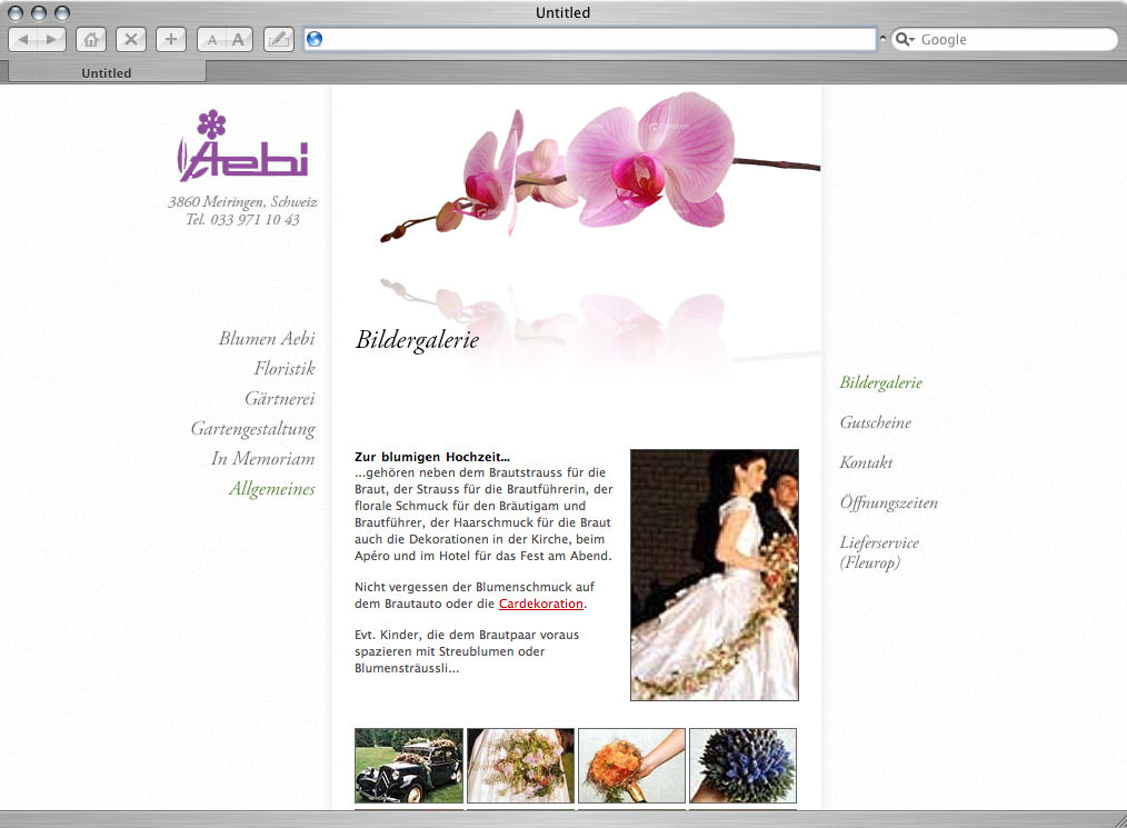 Web design for Blumen Aebi