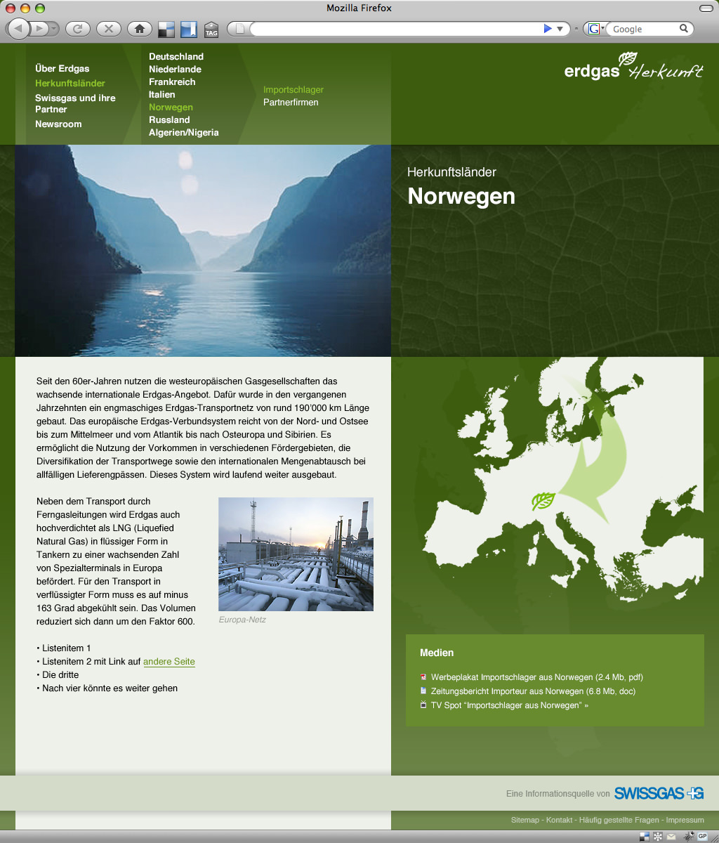 Web design for Erdgas