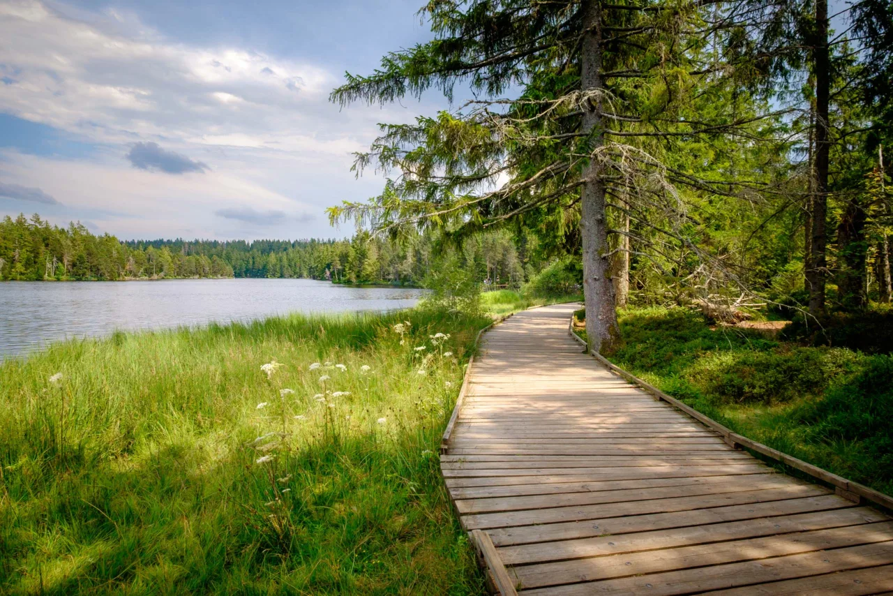 Étang de la Gruère