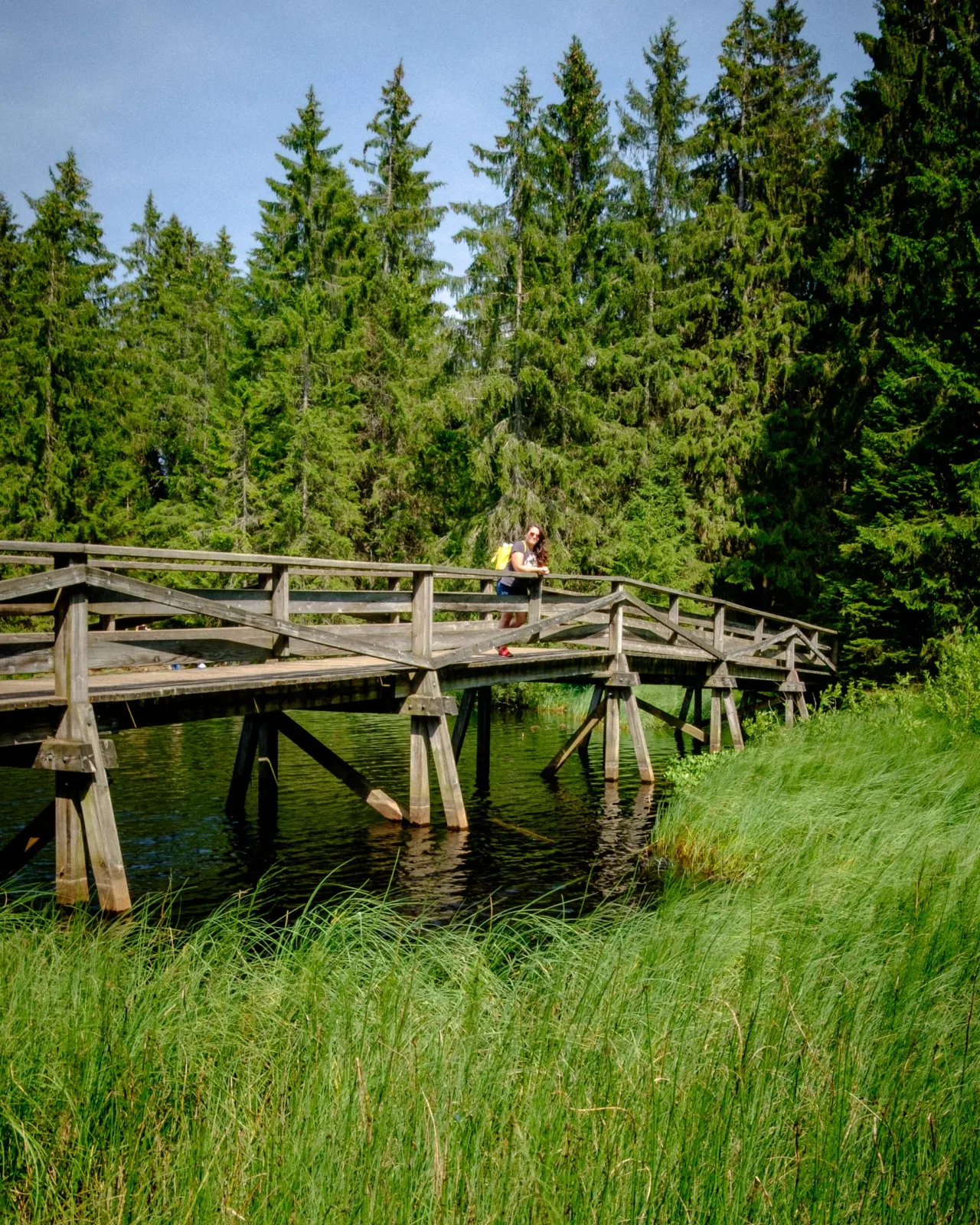 Étang de la Gruère