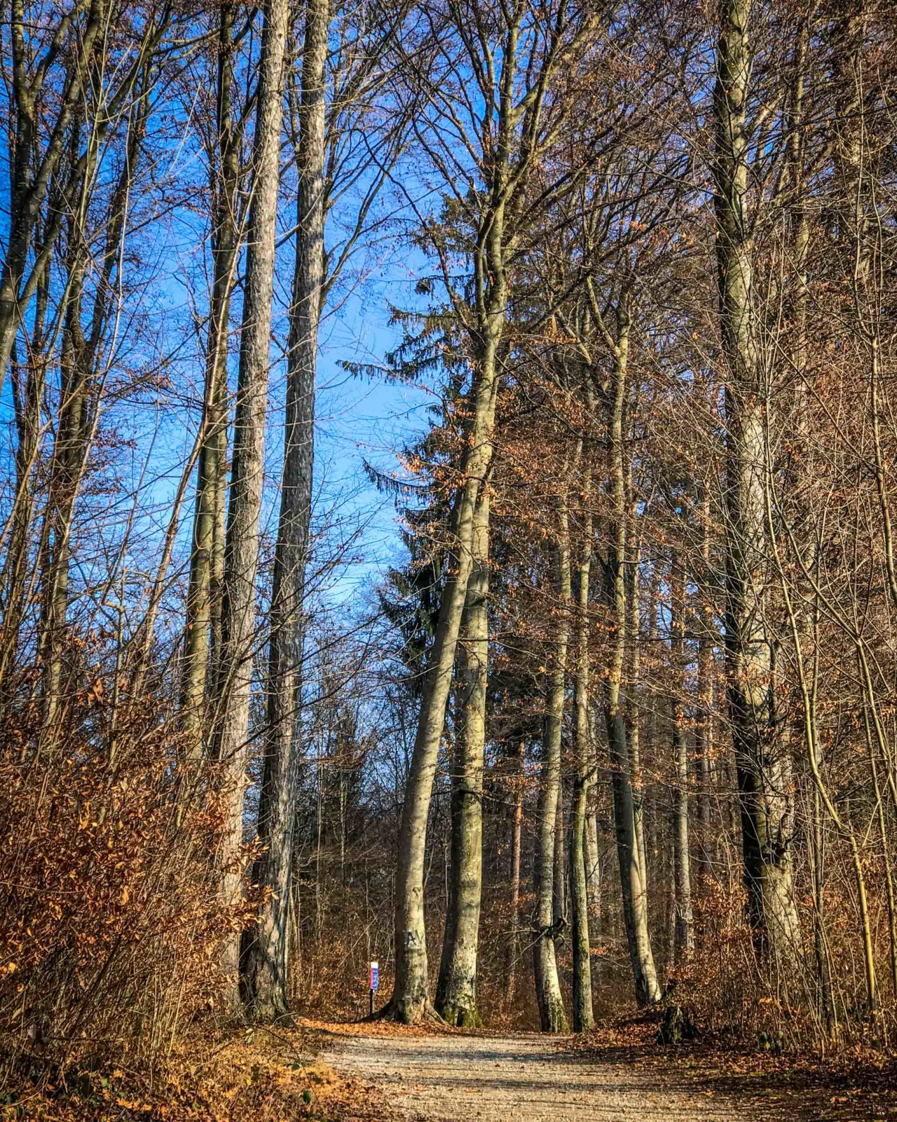 Winter walk in Spiez