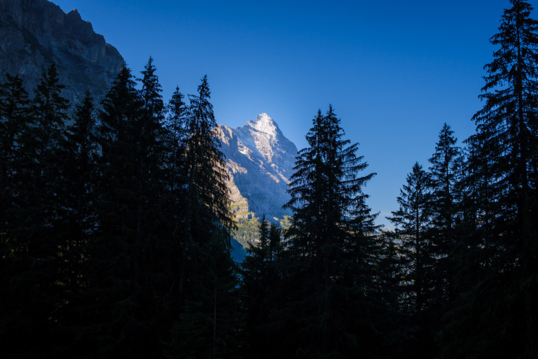 Eiger, early morning