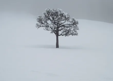 Snow in Lauterbrunnen