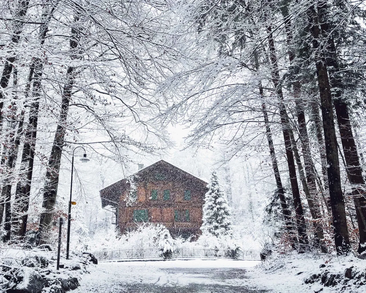 Christmas day in the snow at Ballenberg