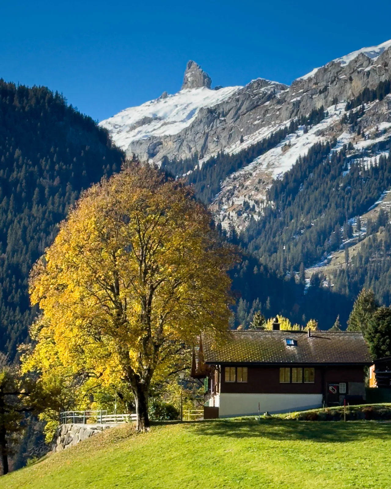 Lobhörner, photographed from Wengen