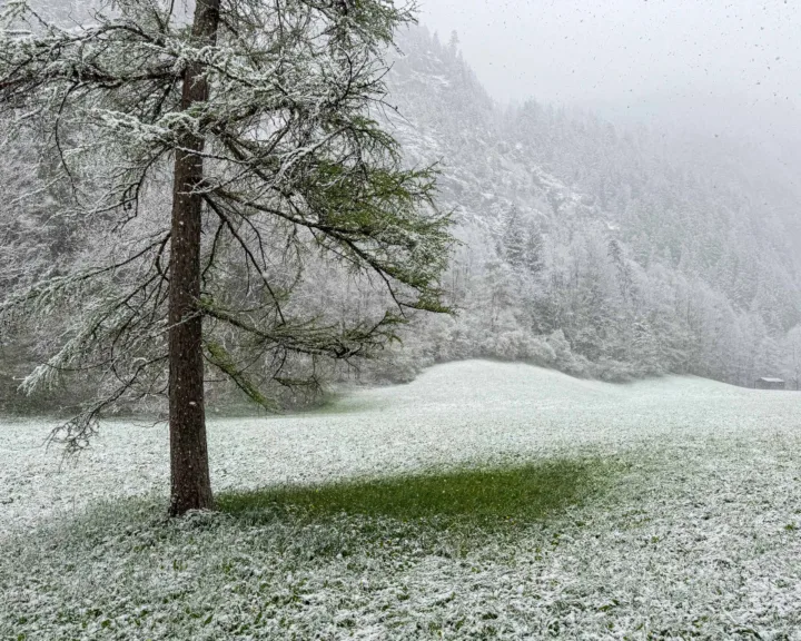 Spring snow in Lauterbrunnen