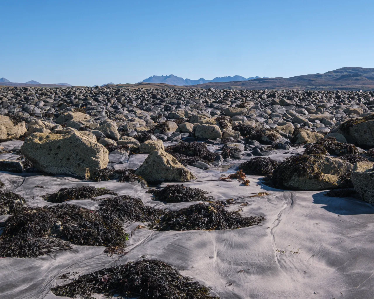 Beach at Oronsay