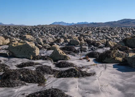 Beach at Oronsay