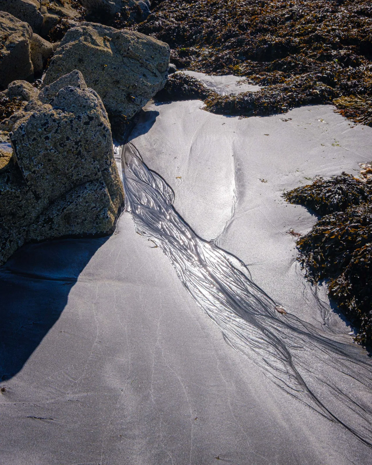 Beach at Oronsay