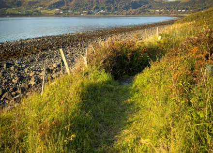Grassy path on the shoreline at Uig