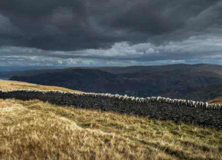 Stone wall on Birkhouse Moor