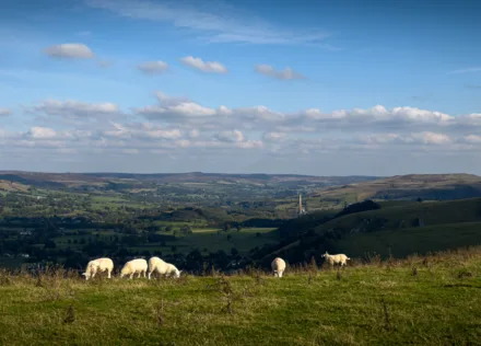 Castleton