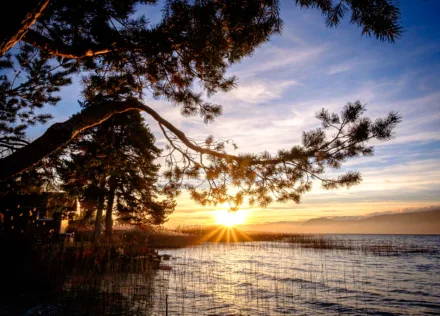 Trees and lake shore at sunset at Delley-Portalban