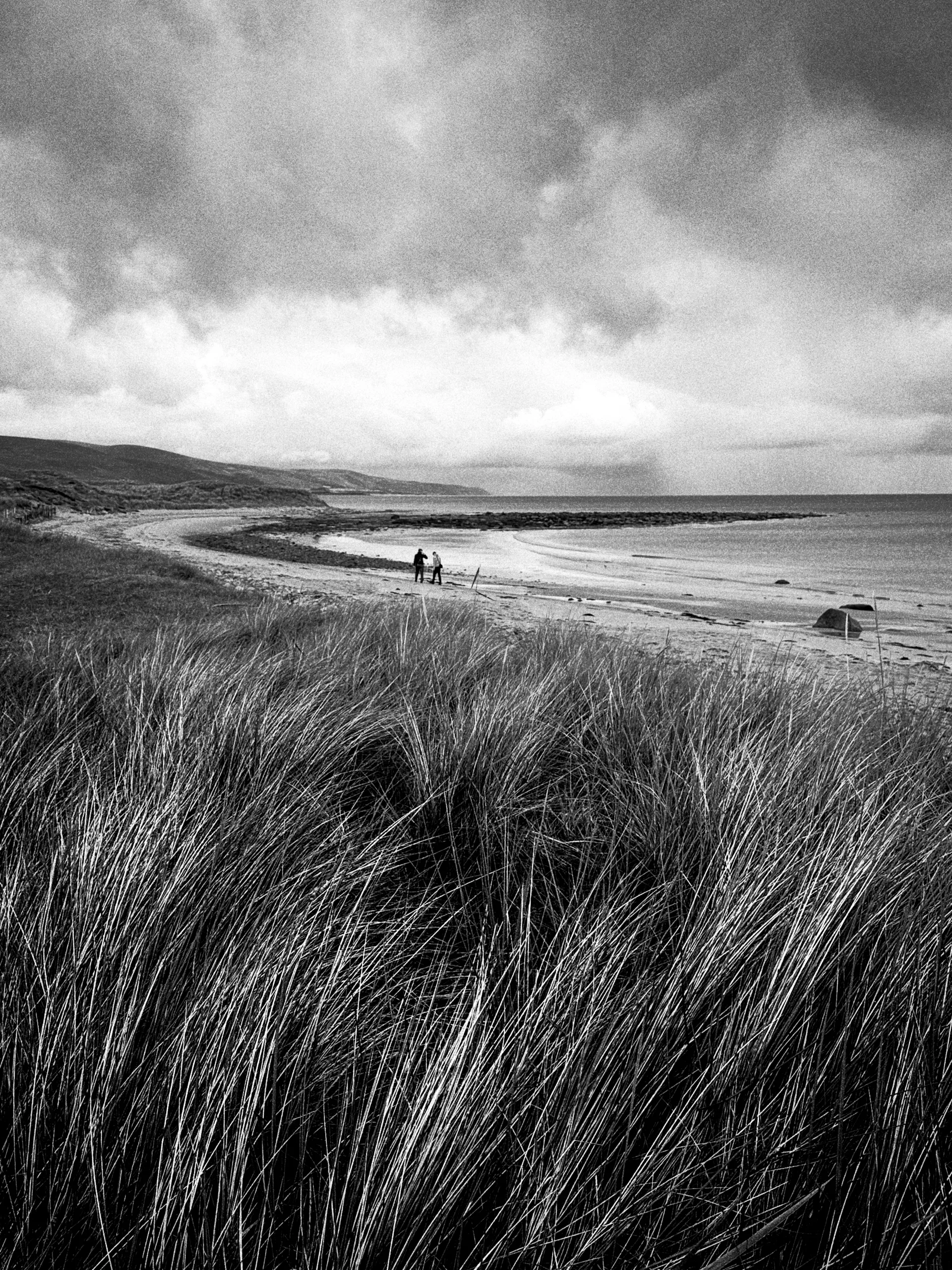 Sand dunes at Brora beach