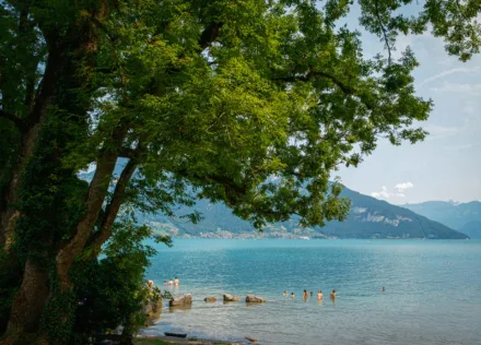 Wallrain park in Spiez