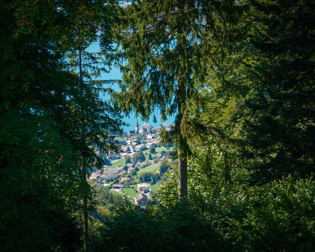 View through the trees to Oberhofen from Niesenbänkli