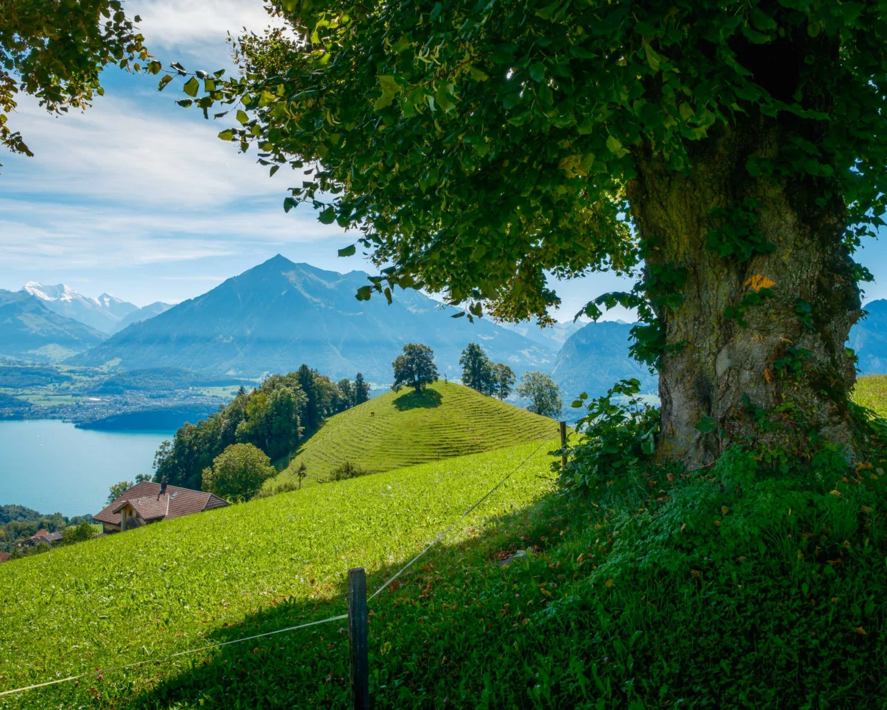 View to the Niesen from Chrinden