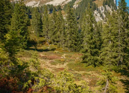Hohgant from Haglätsch