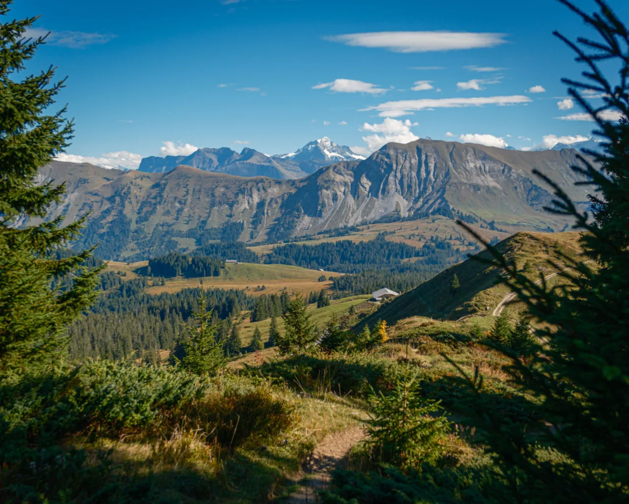 View to Wetterhorn from Stand/Wehrli