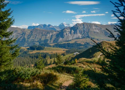 View to Wetterhorn from Stand/Wehrli
