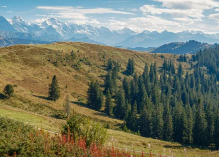 Stand, Lombachalp