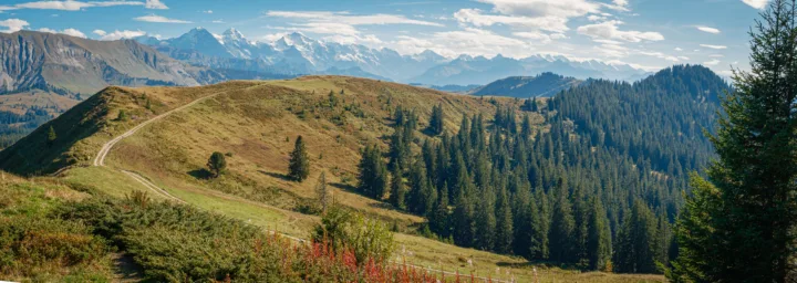 Stand, Lombachalp