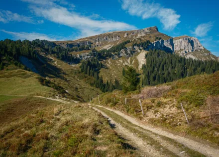 Stand/Wehri, Lombachalp