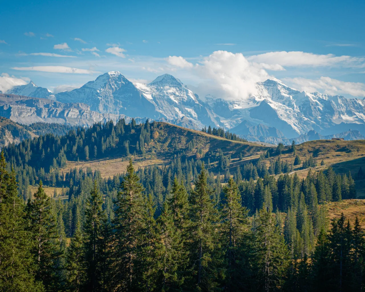 Eiger, Mönch and Jungfrau from Lombachalp