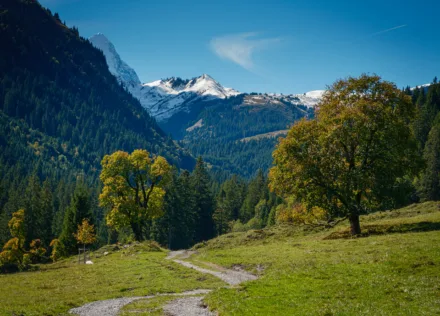 Looking up towards Grosse Scheidegg from near Rosenlaui