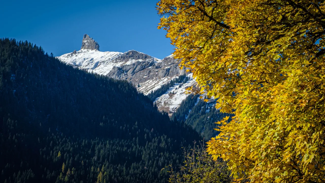 Lobhörner, photographed from Wengen