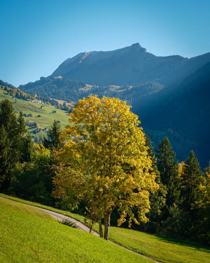 Autumn colours at Habkern