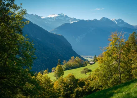 Schwalmere from Habkern