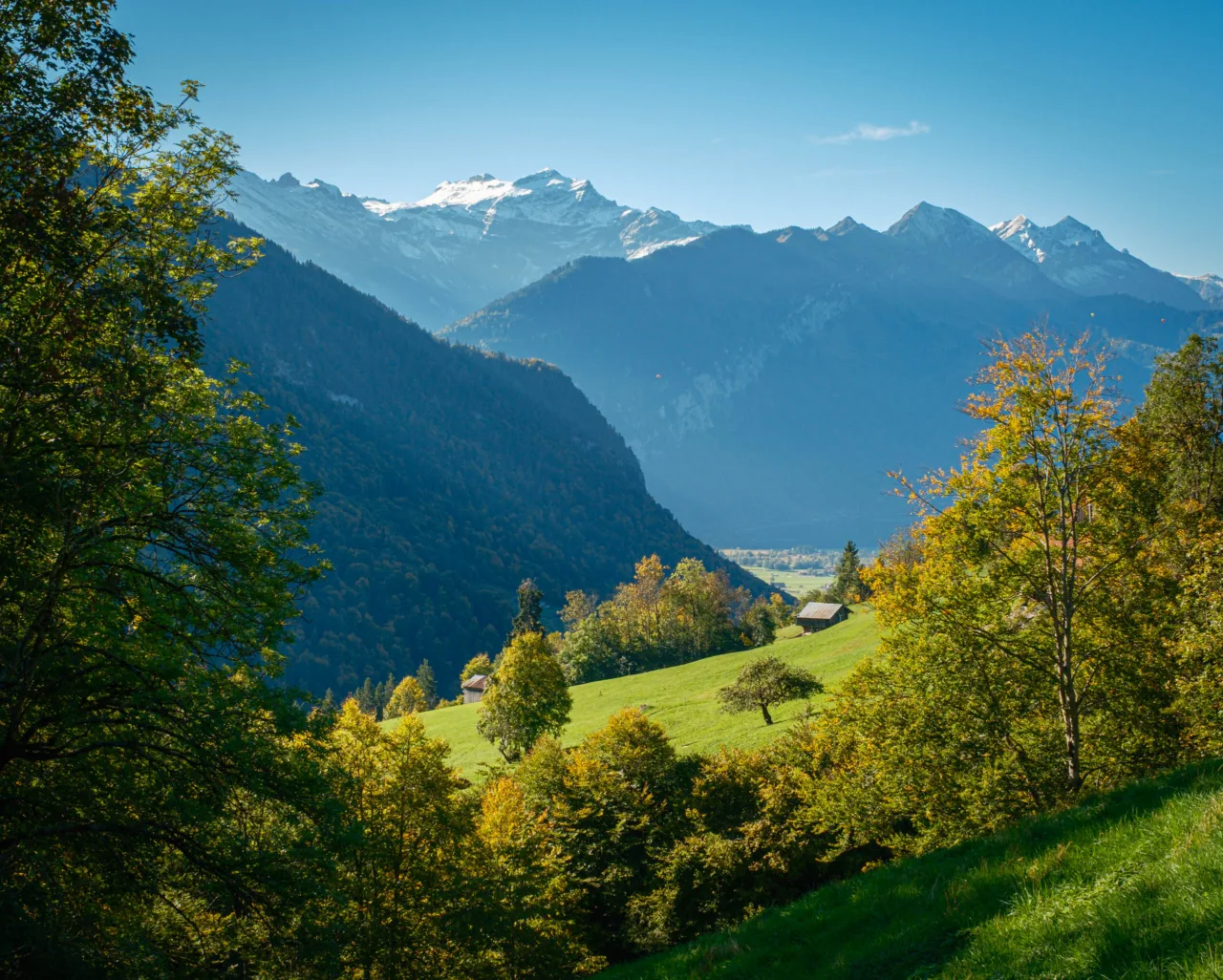 Schwalmere from Habkern