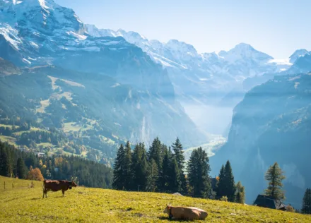 Wengen in autumn