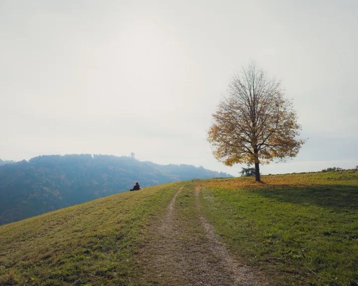 Autumn on Gurten hill