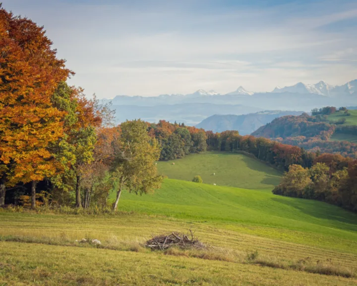 Autumn colour at Gurten