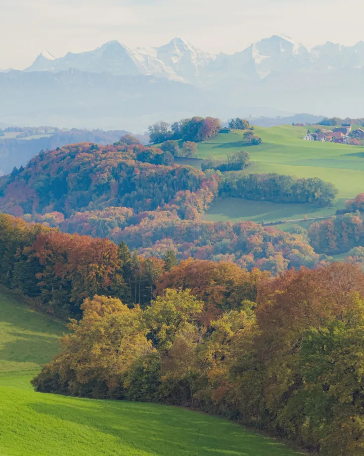 Autumn colour at Gurten