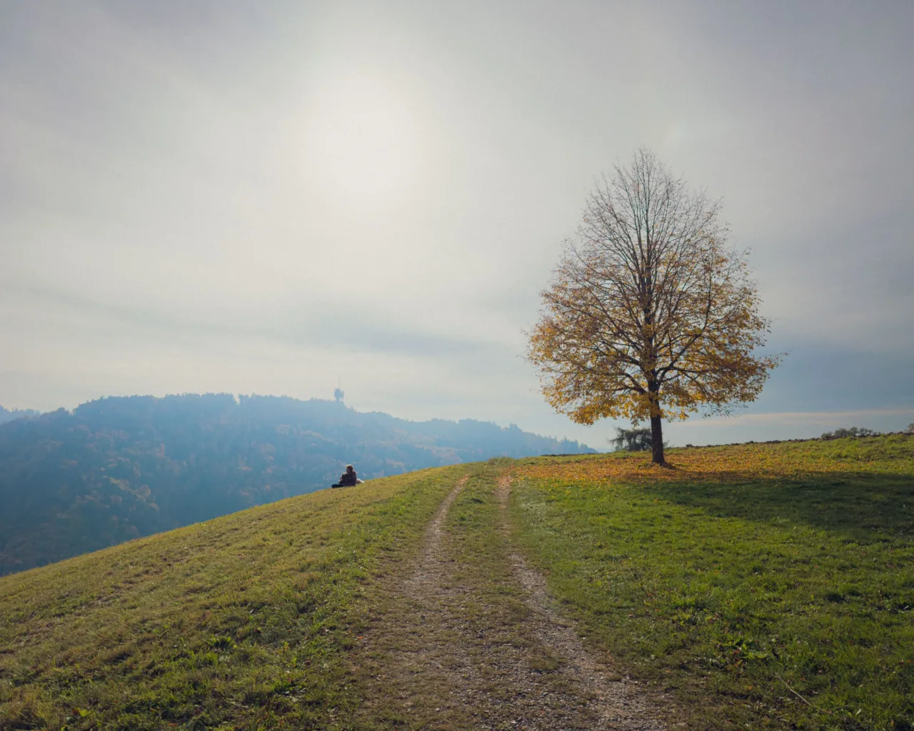 Autumn on Gurten hill