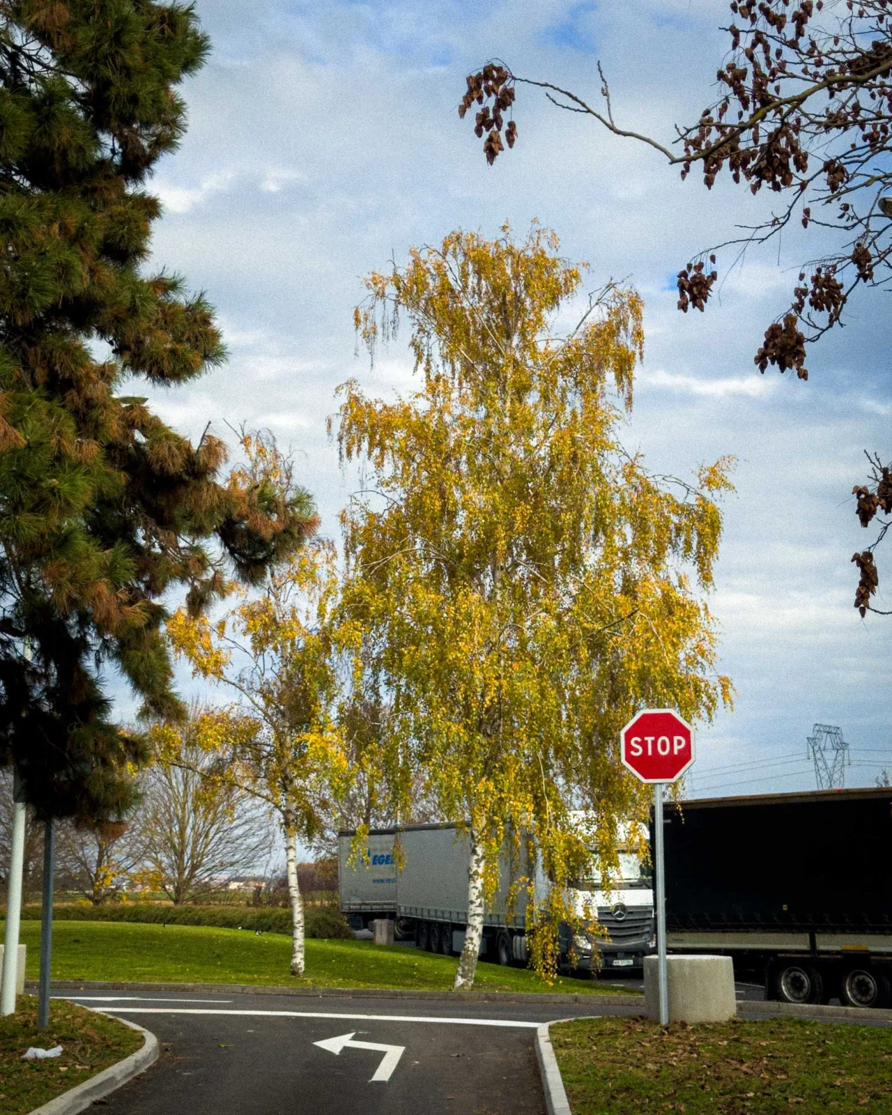 Autumn colour at Aire de service du Haut-Koenigsbourg